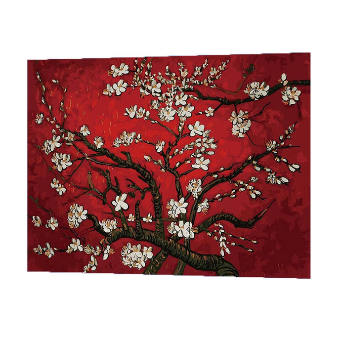 WONZOM Apricot Blossom Oil